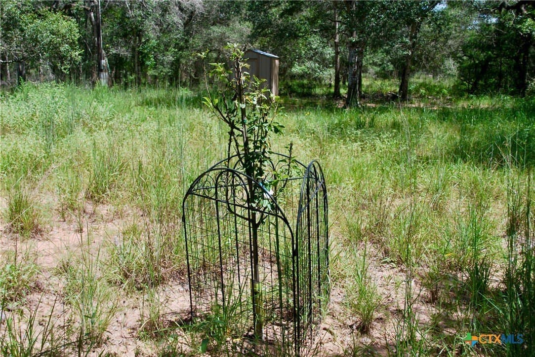 11.08 acres in Lavaca County - photo 11