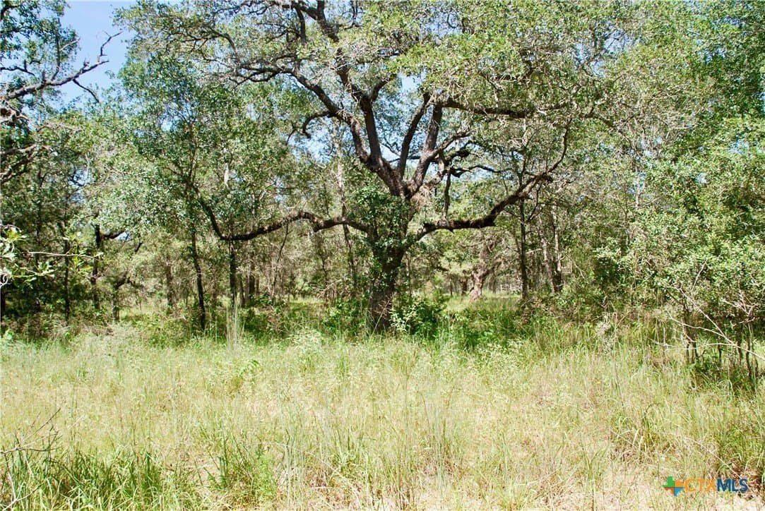 11.08 acres in Lavaca County - photo 9