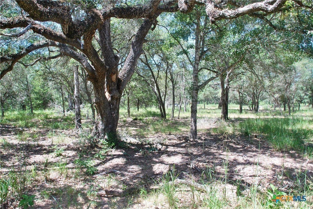 11.08 acres in Lavaca County - photo 10