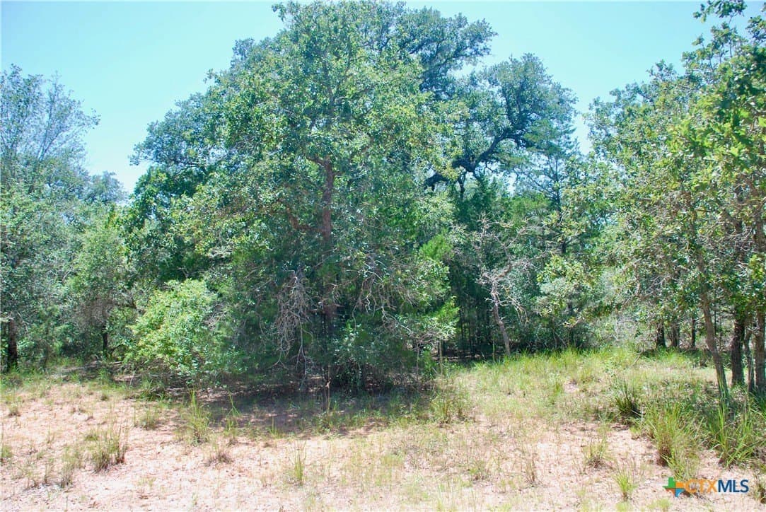 11.08 acres in Lavaca County - photo 14