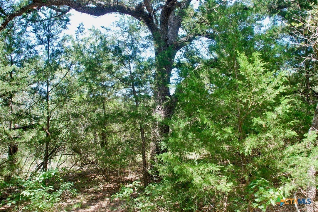 11.08 acres in Lavaca County - photo 15