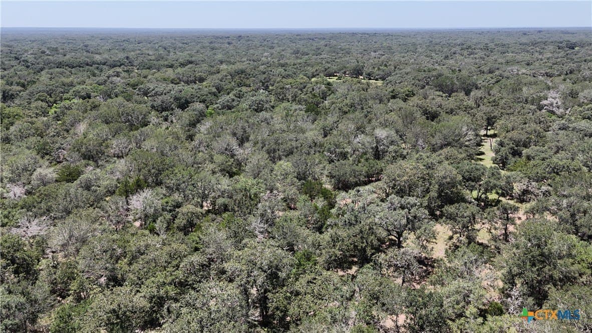 11.08 acres in Lavaca County - photo 19