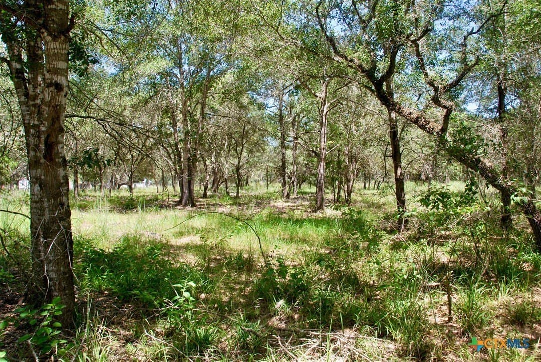 11.08 acres in Lavaca County - photo 13