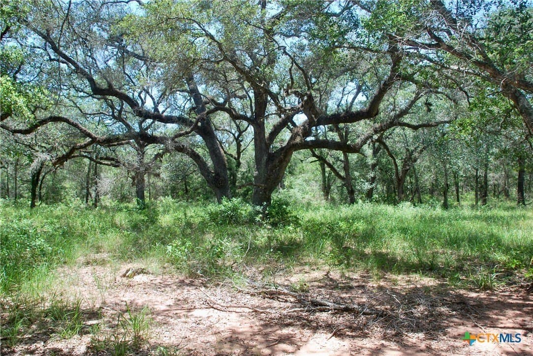 11.08 acres in Lavaca County - photo 7
