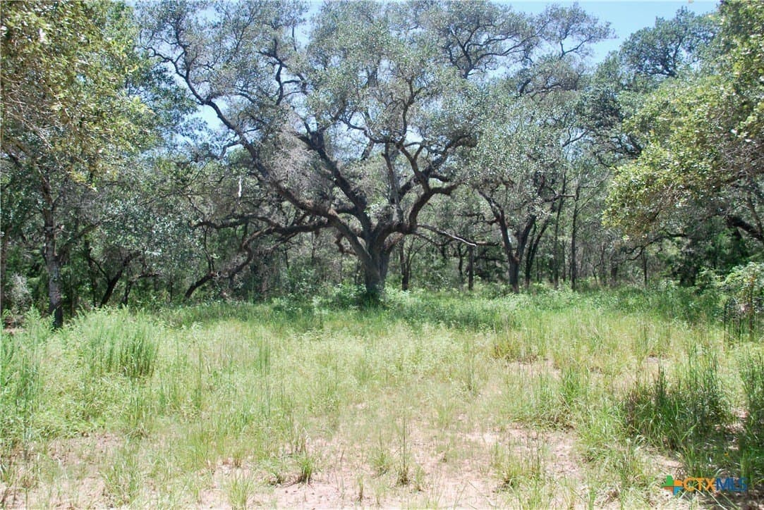 11.08 acres in Lavaca County - photo 8