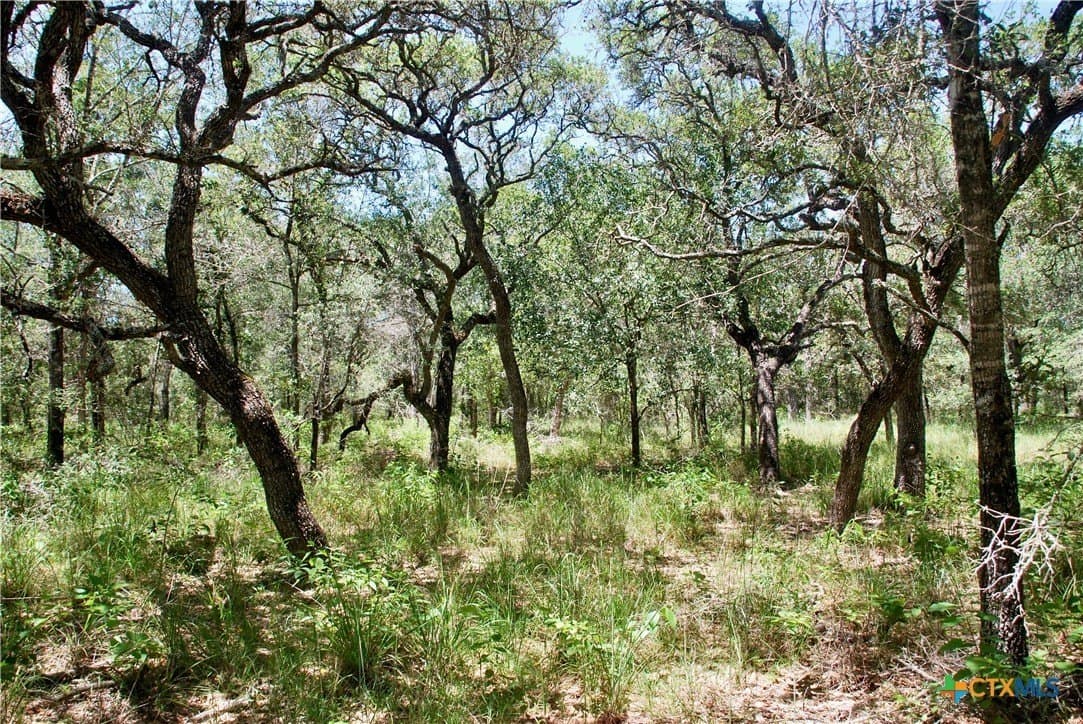 11.08 acres in Lavaca County - photo 16