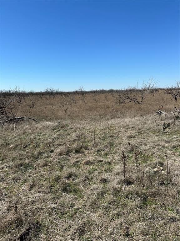 10.5 acres in Shackelford County gallery image 4