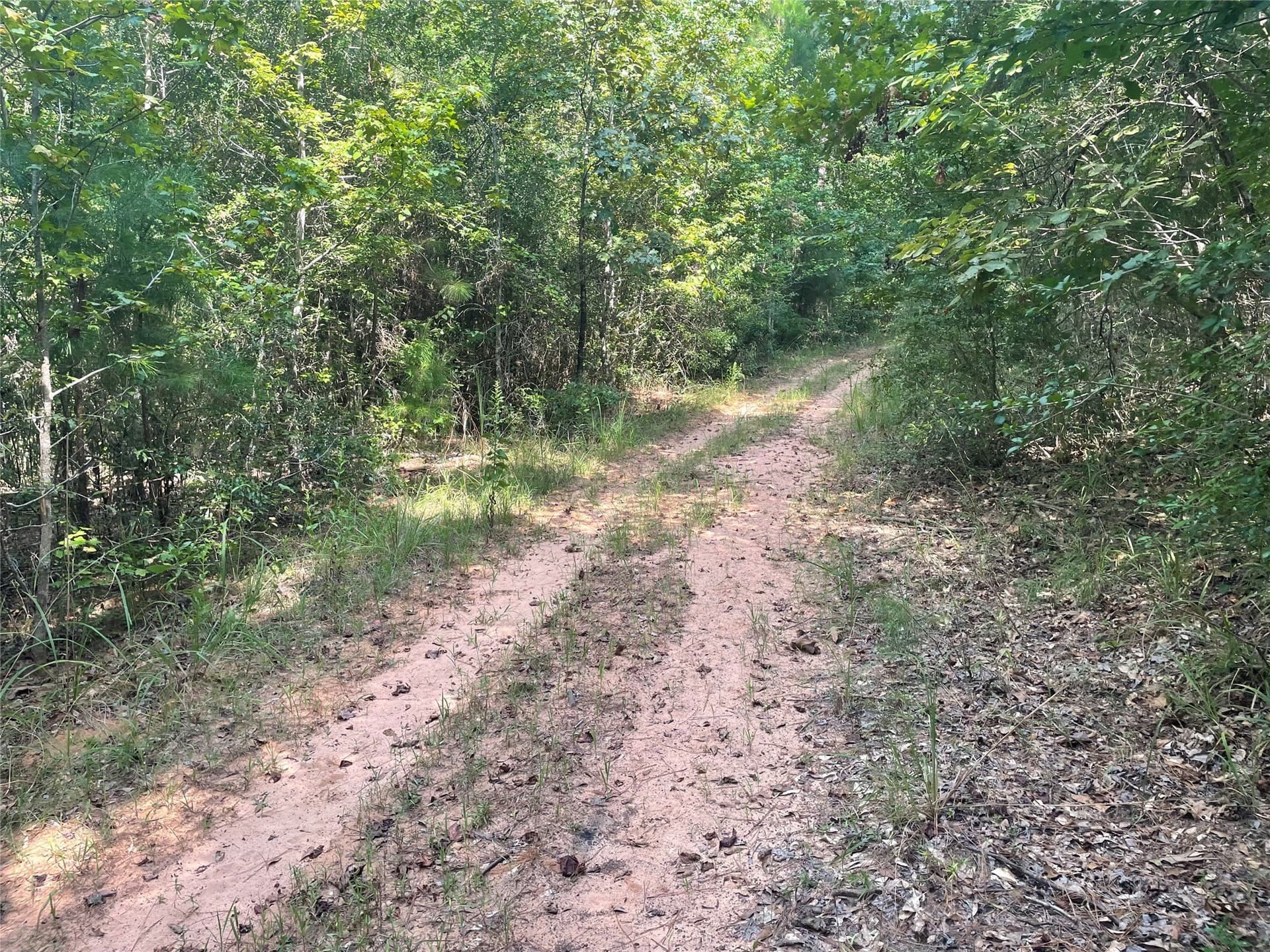 83.65 acres in Anderson County - photo 6