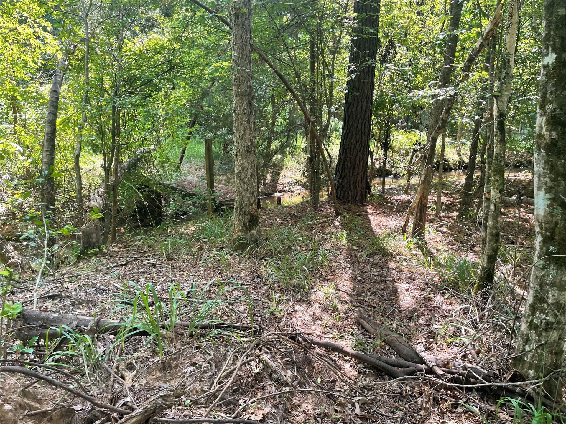 83.65 acres in Anderson County - photo 7