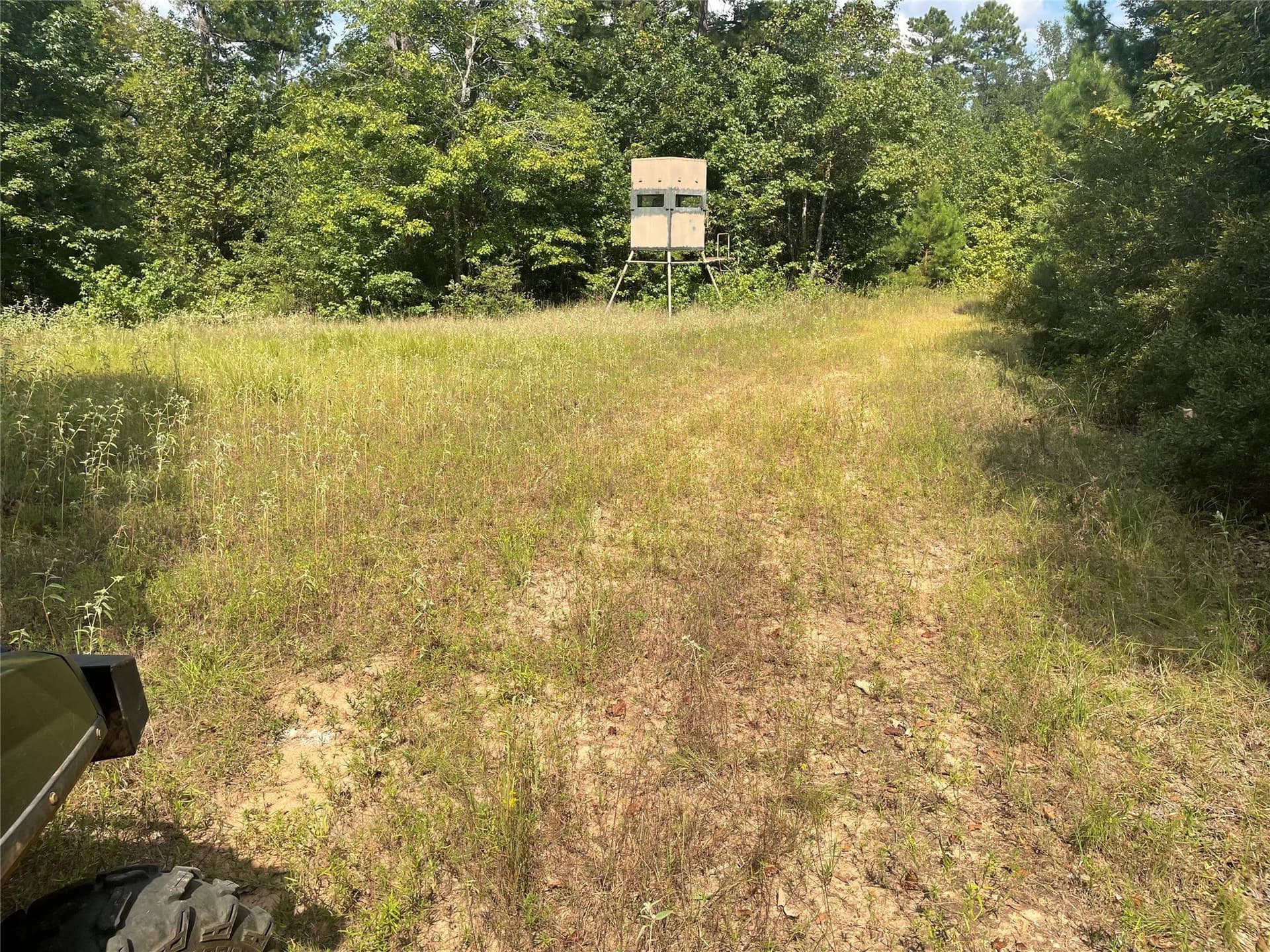 83.65 acres in Anderson County - photo 8