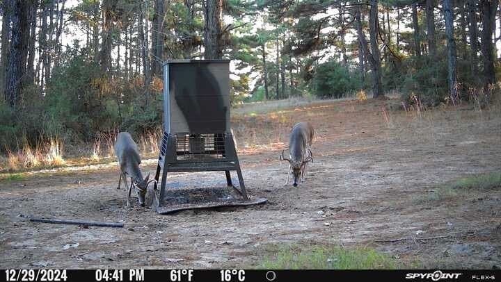 25.74 acres in Freestone County - photo 17