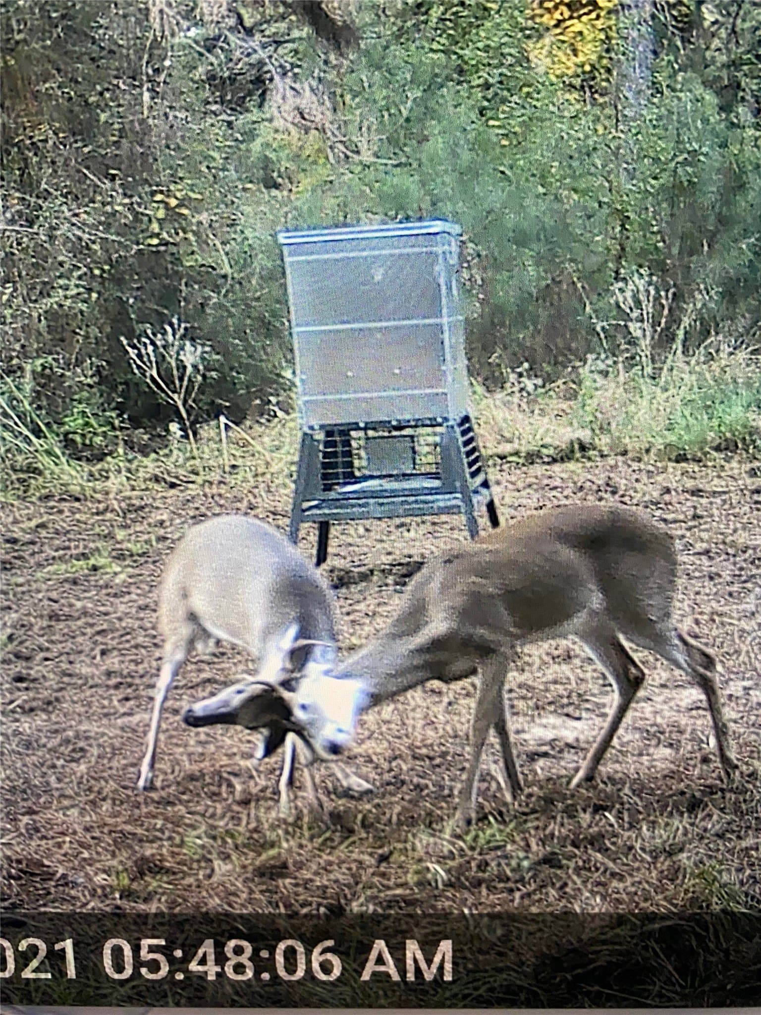 25.74 acres in Freestone County - photo 25