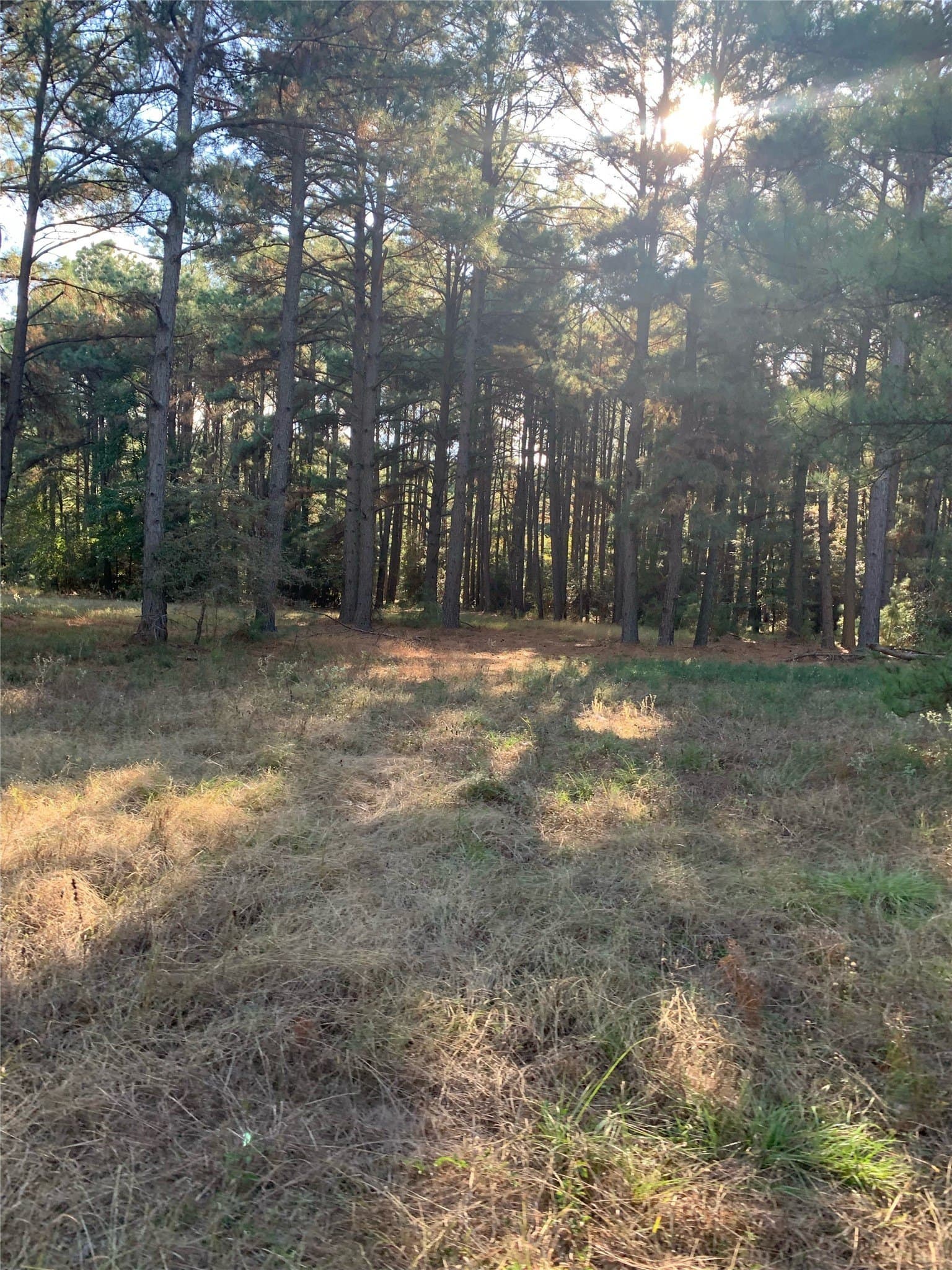25.74 acres in Freestone County - photo 36