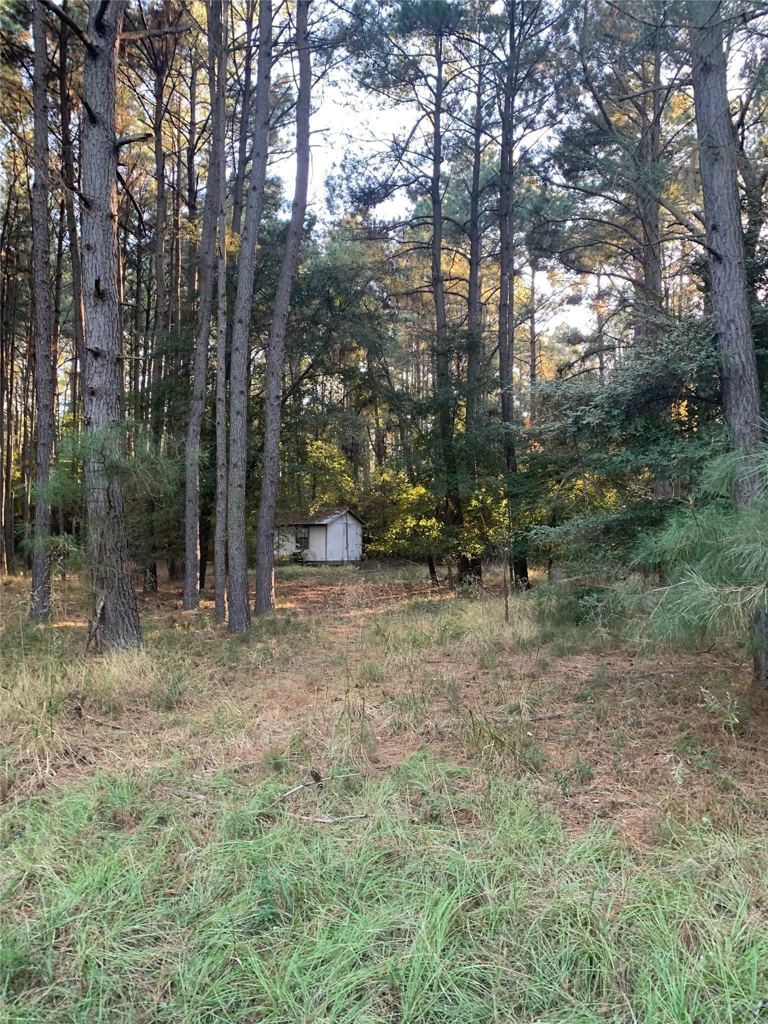 25.74 acres in Freestone County - photo 31