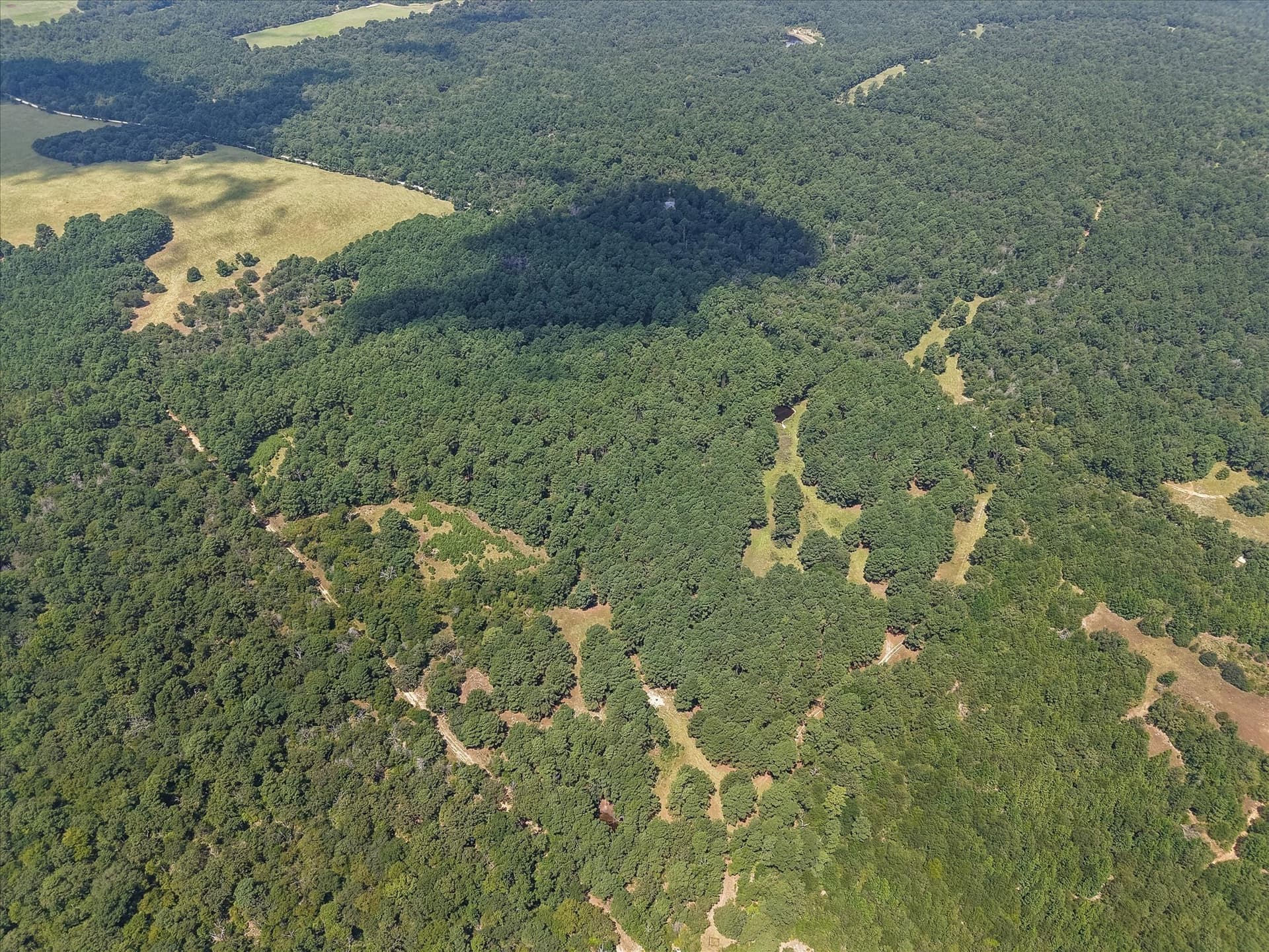 25.74 acres in Freestone County gallery image 3
