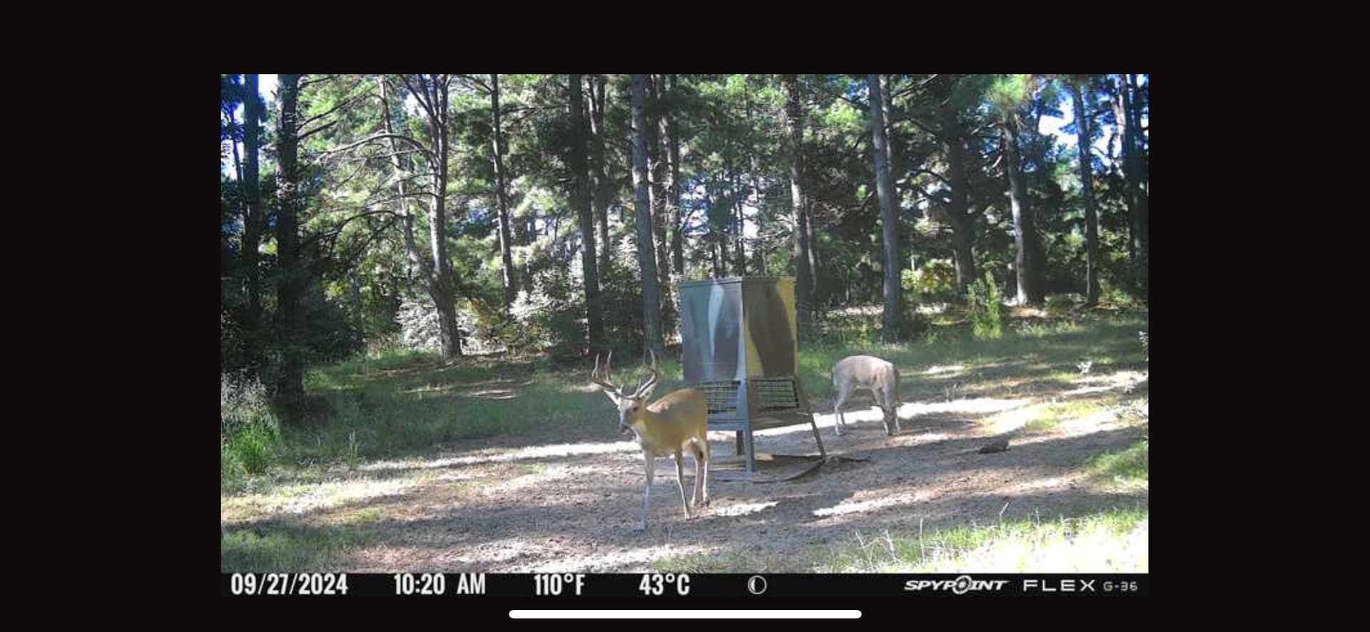 25.74 acres in Freestone County - photo 21