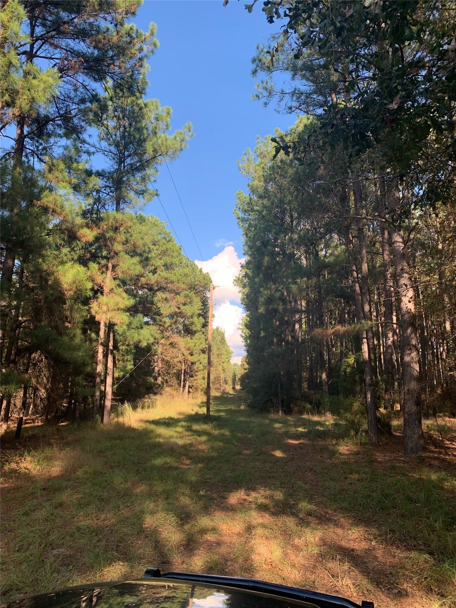25.74 acres in Freestone County - photo 12