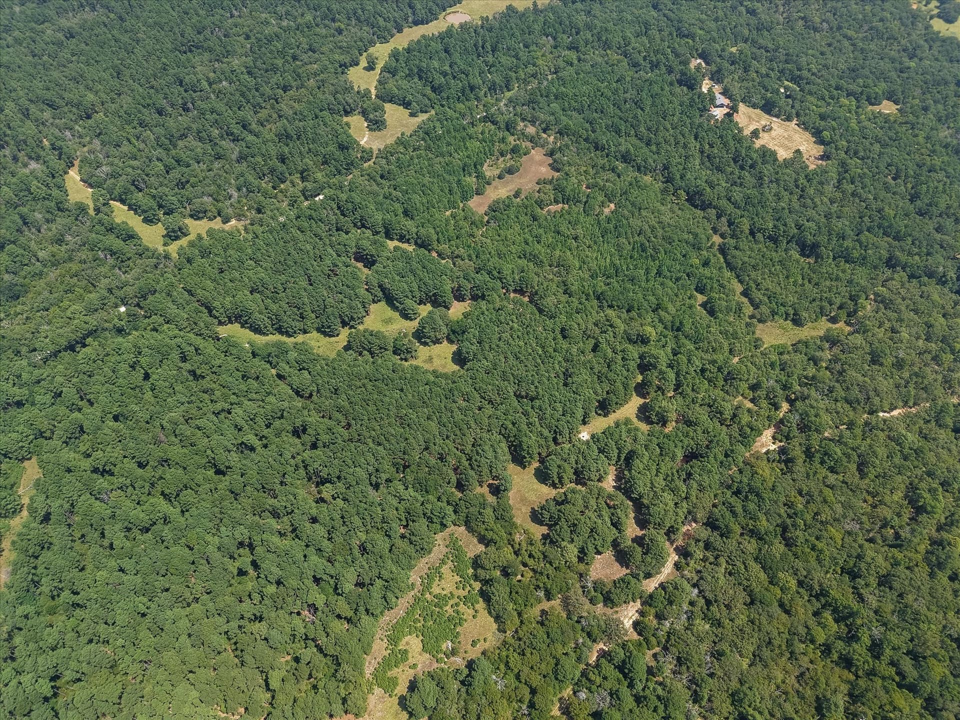 25.74 acres in Freestone County - photo 7