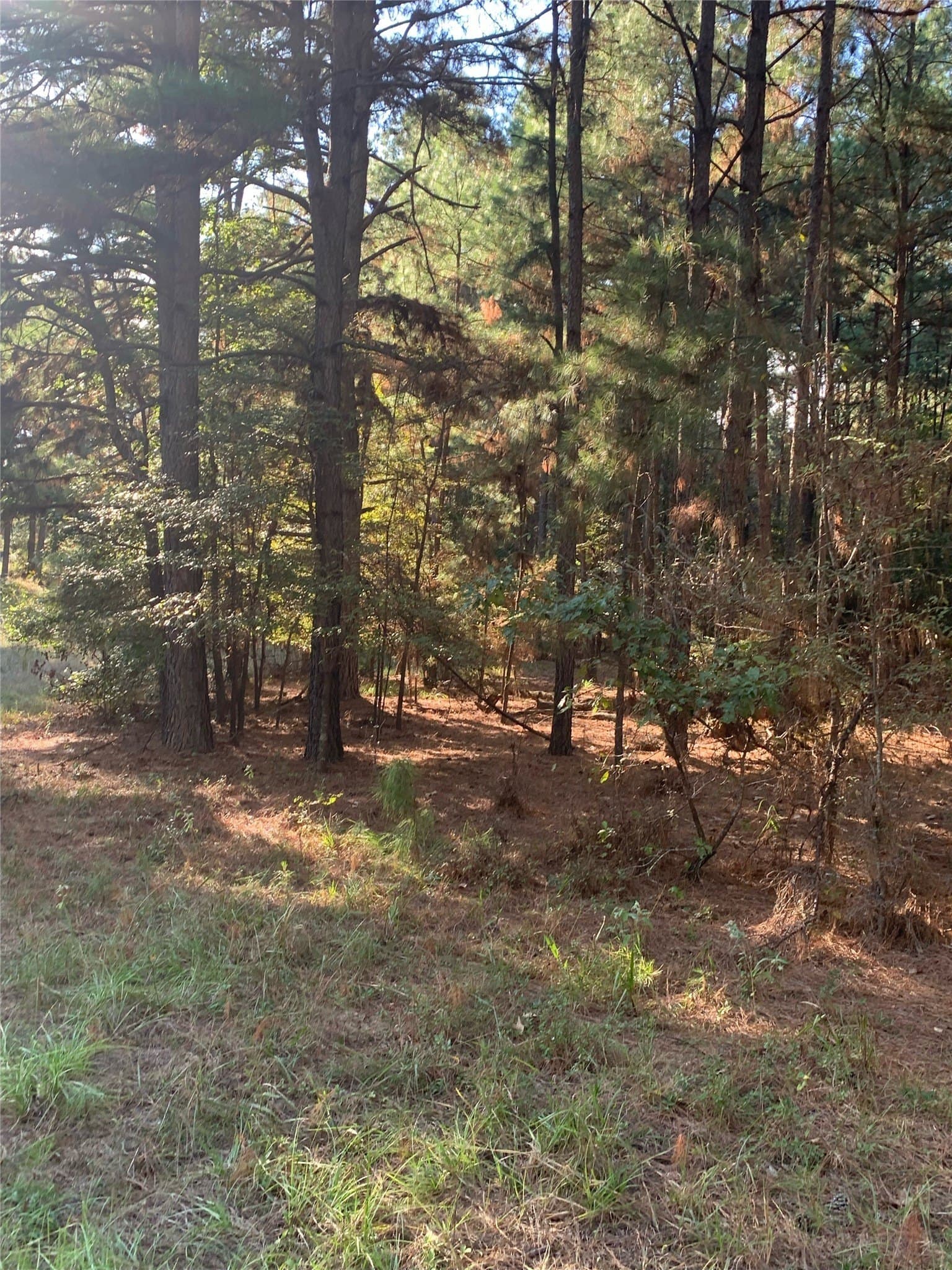 25.74 acres in Freestone County - photo 32