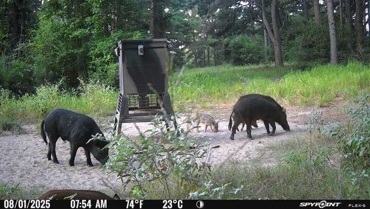 25.74 acres in Freestone County - photo 18