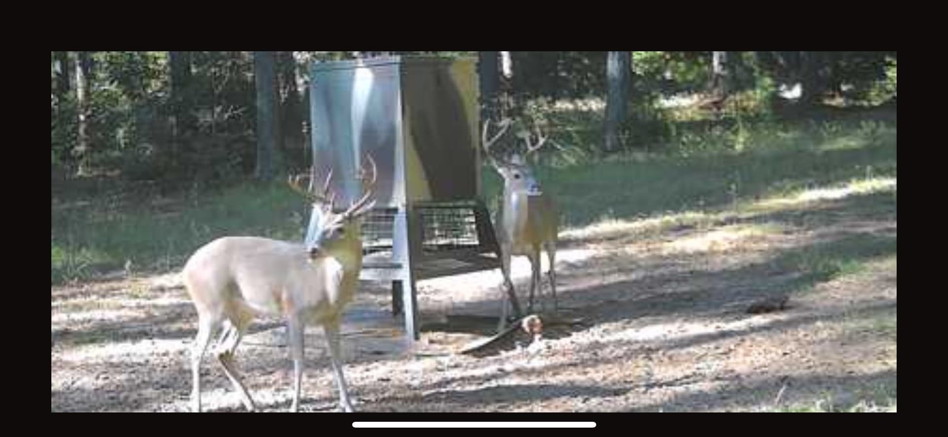 25.74 acres in Freestone County - photo 20