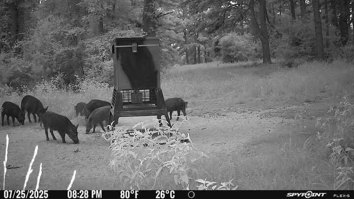 25.74 acres in Freestone County - photo 15
