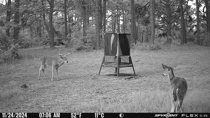 25.74 acres in Freestone County - photo 13