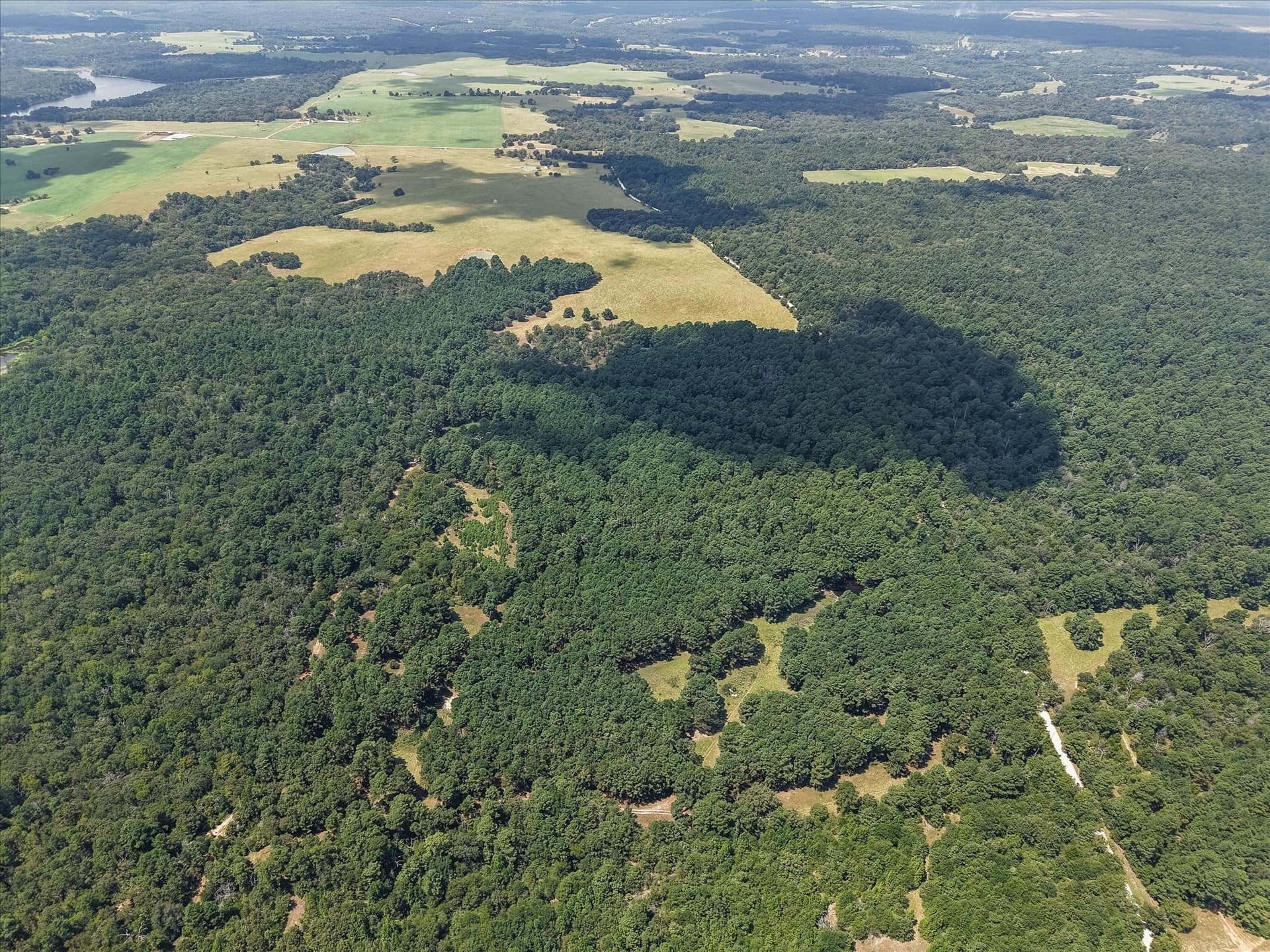 25.74 acres in Freestone County - photo 6