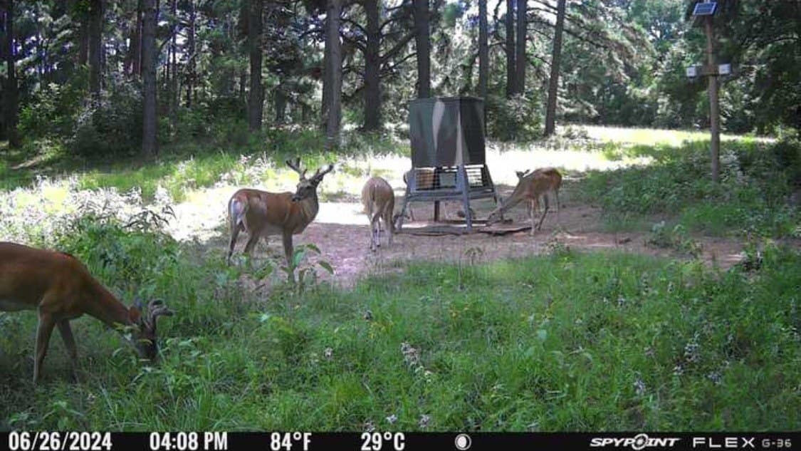 25.74 acres in Freestone County gallery image 2