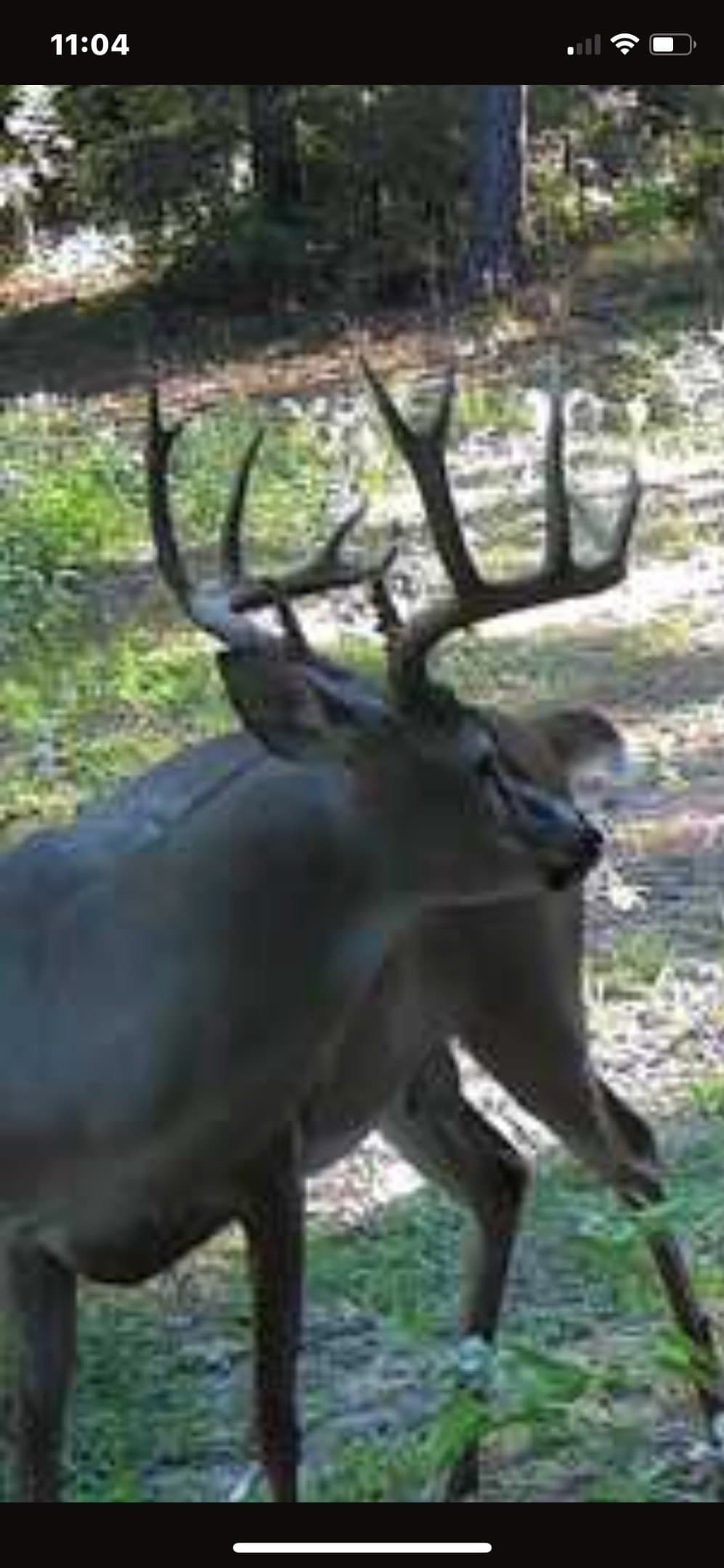 25.74 acres in Freestone County - photo 24