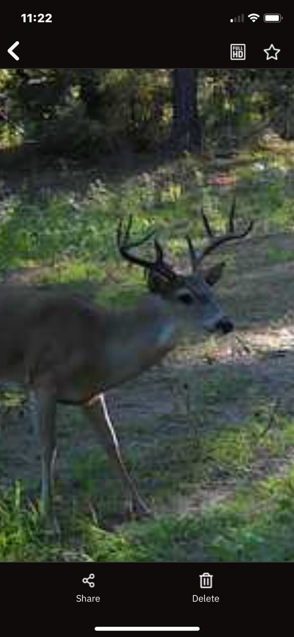 25.74 acres in Freestone County - photo 22