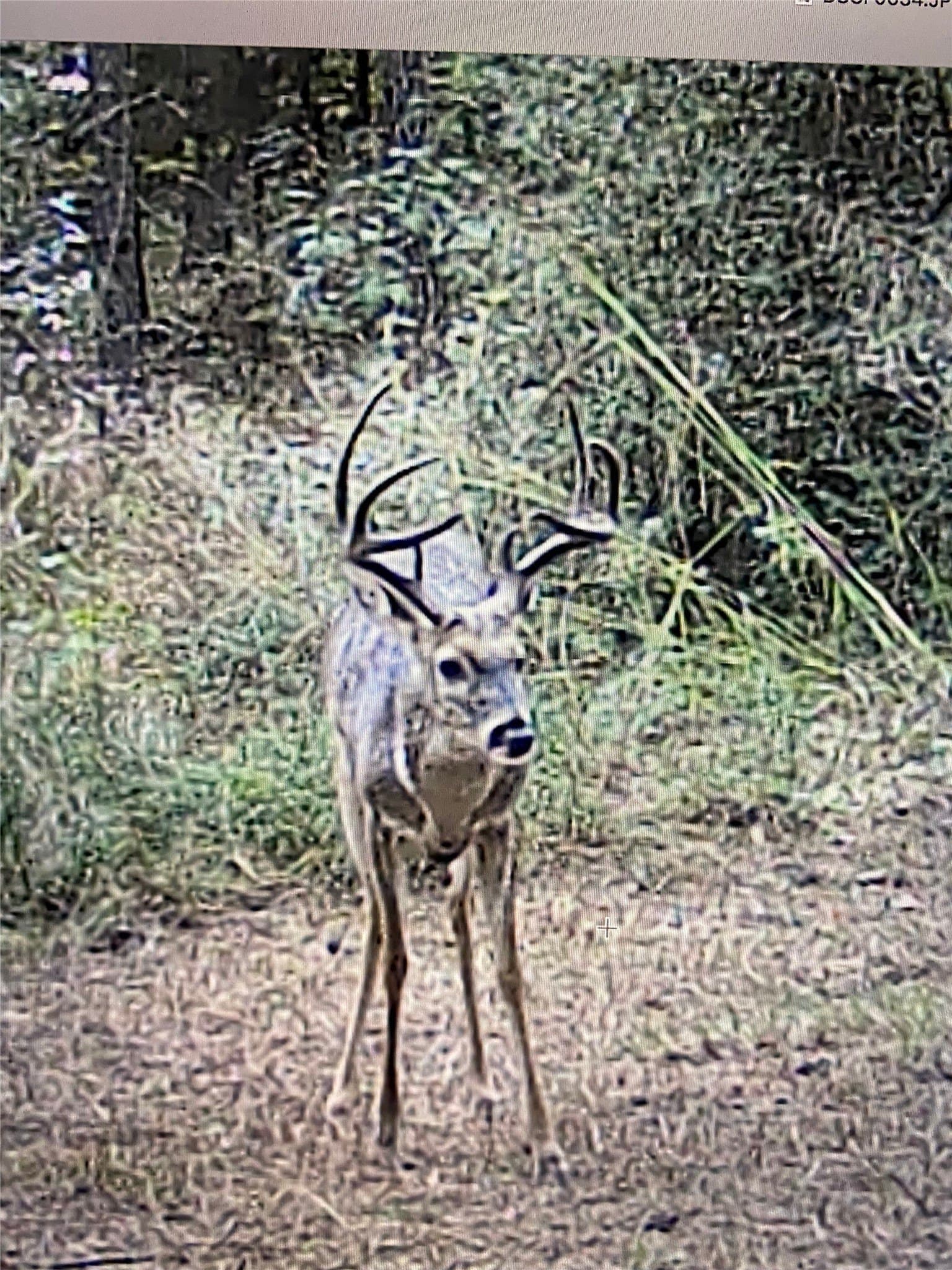 25.74 acres in Freestone County - photo 26