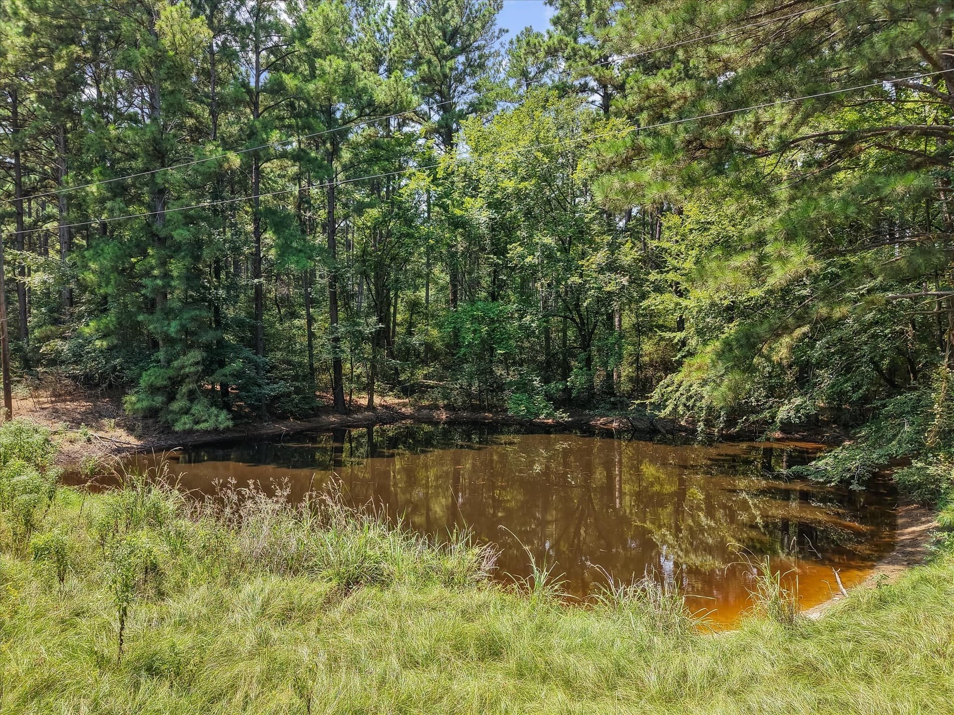 25.74 acres in Freestone County - photo 8
