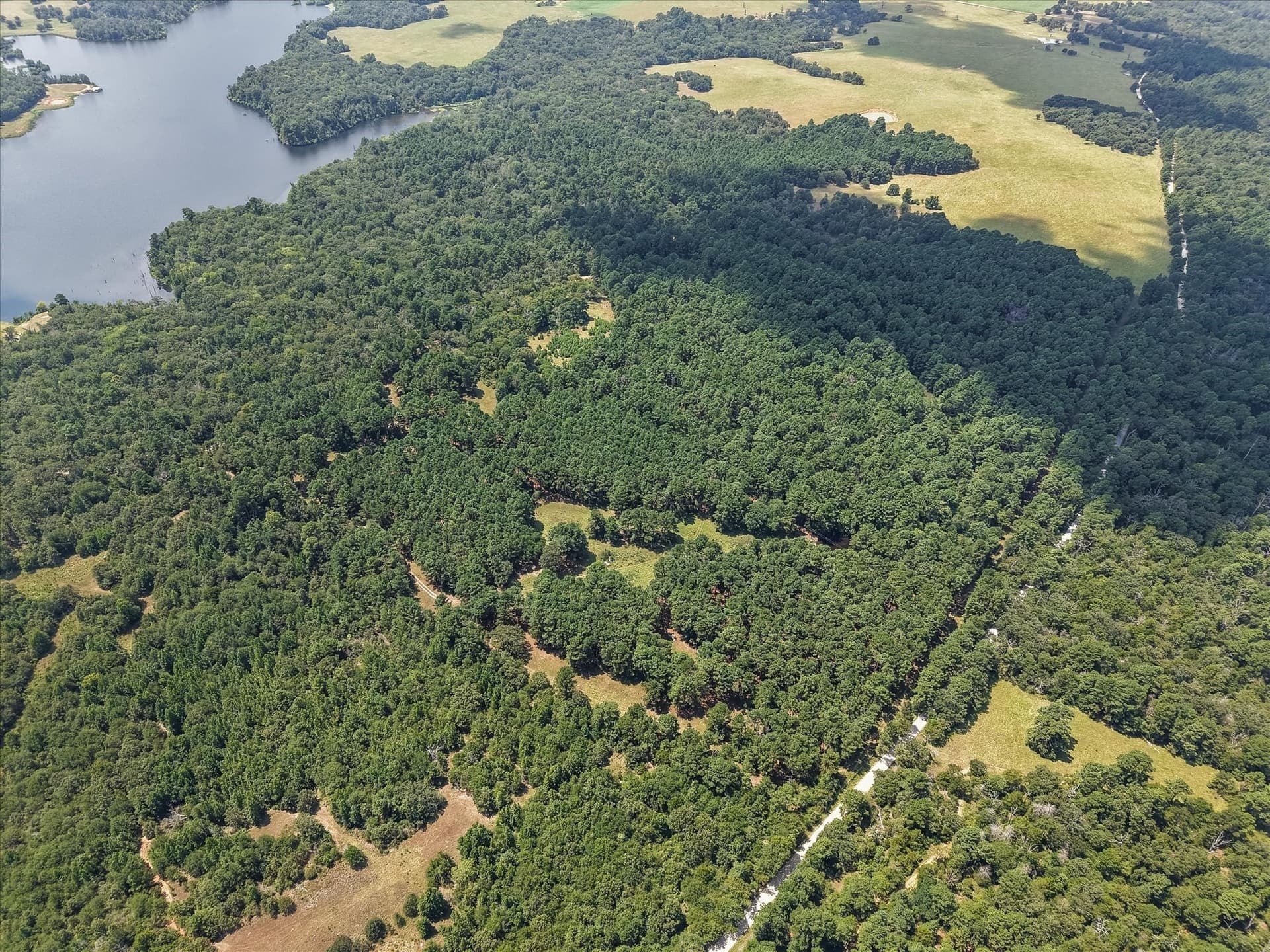 25.74 acres in Freestone County - photo 10