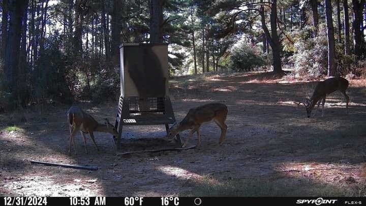 25.74 acres in Freestone County - photo 16