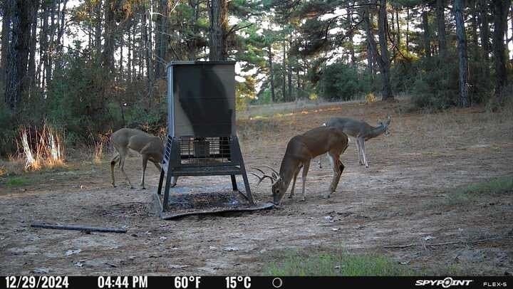 25.74 acres in Freestone County - photo 9