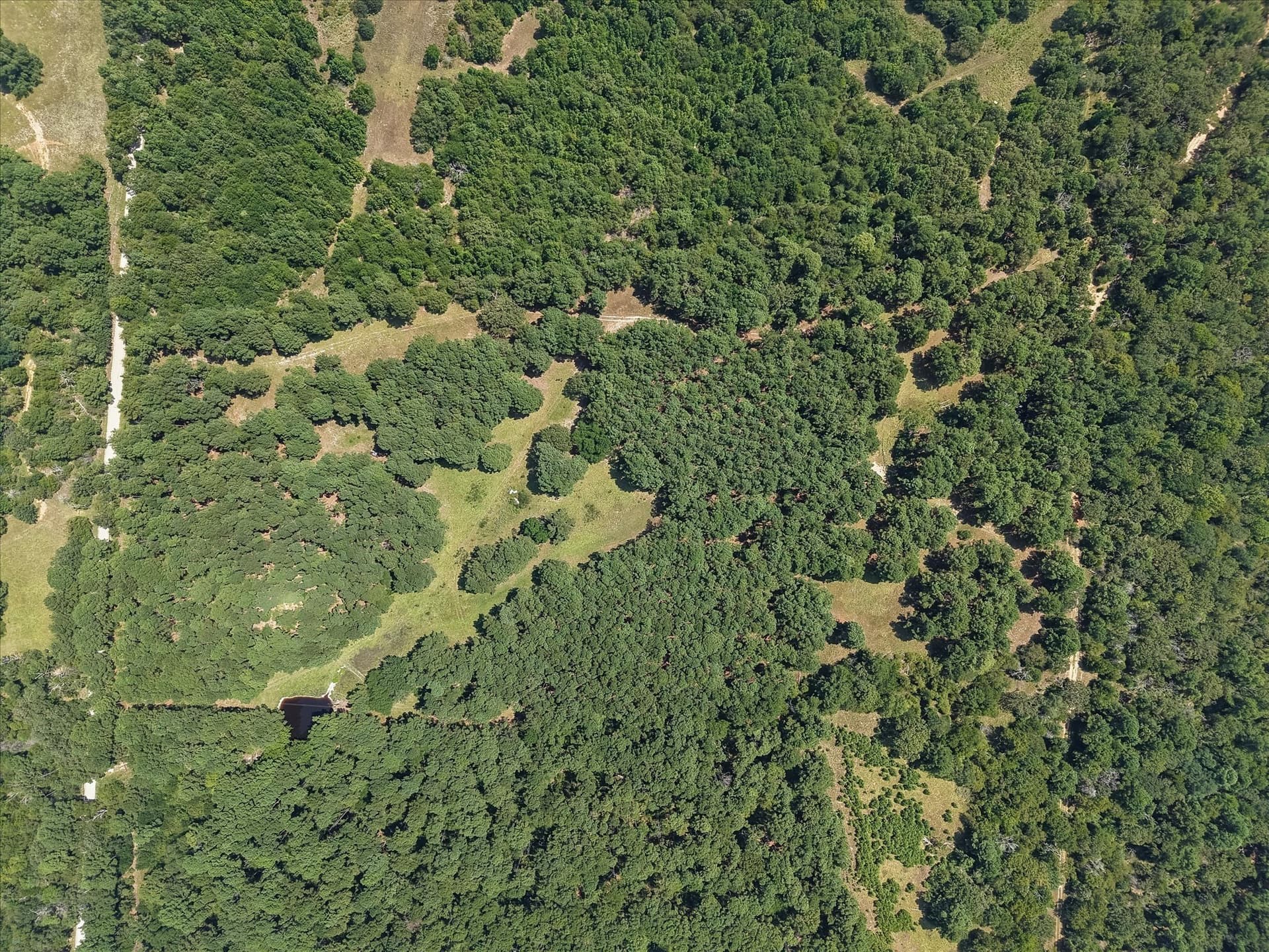 25.74 acres in Freestone County - photo 11
