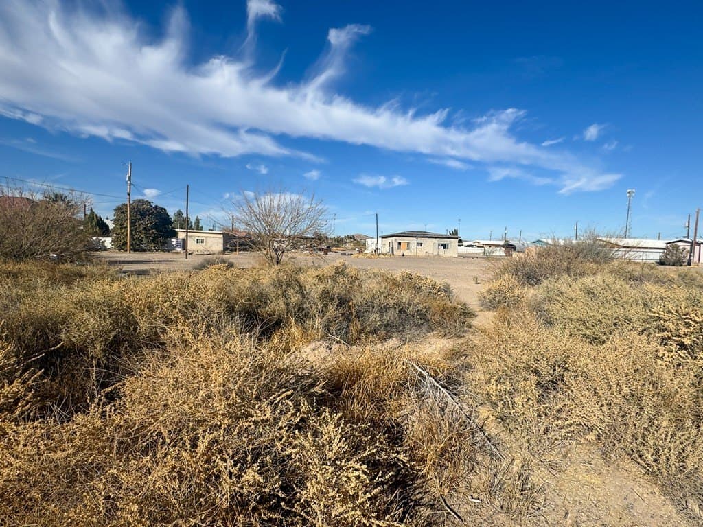 1.01 acres in Presidio County - photo 8