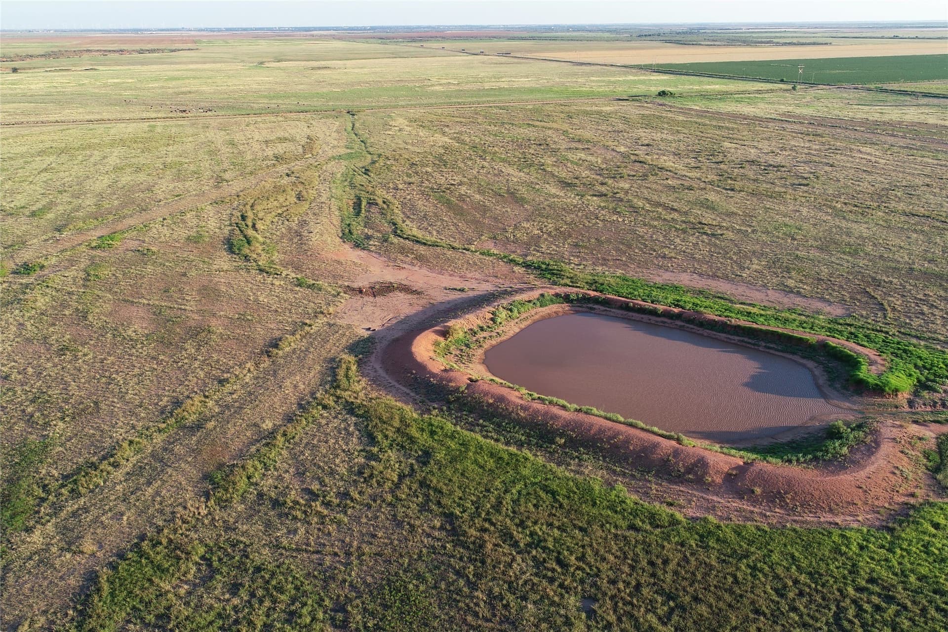 340 acres in Wilbarger County - photo 23