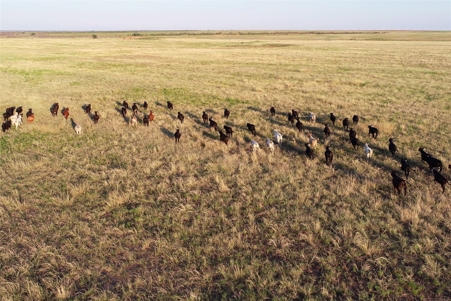 340 acres in Wilbarger County - photo 13