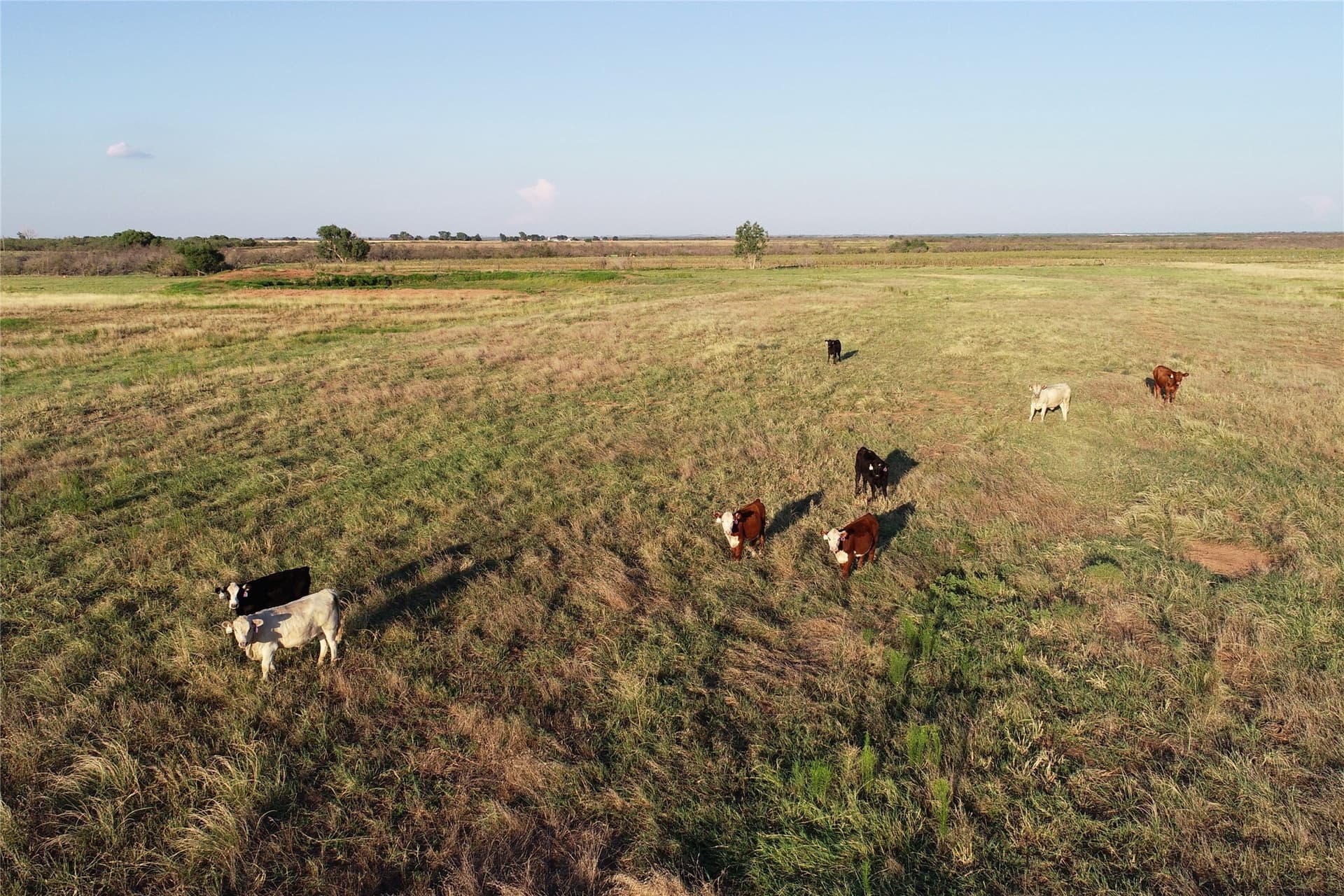 340 acres in Wilbarger County - photo 6