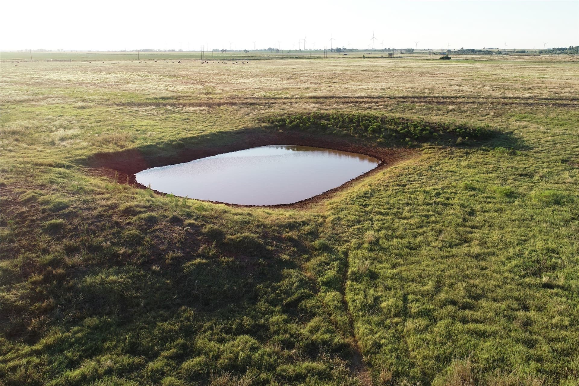 340 acres in Wilbarger County - photo 8