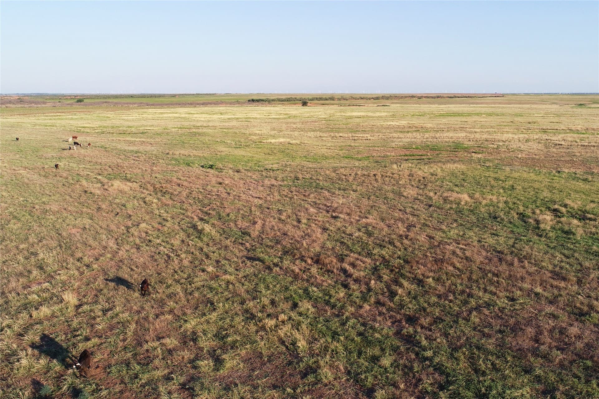 340 acres in Wilbarger County - photo 5