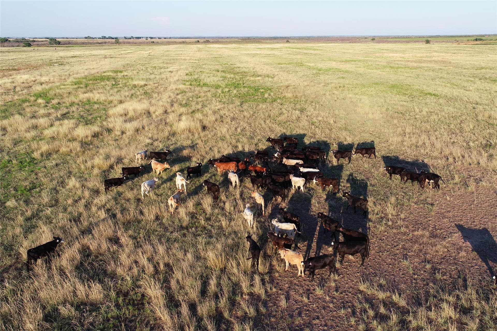 340 acres in Wilbarger County - photo 12
