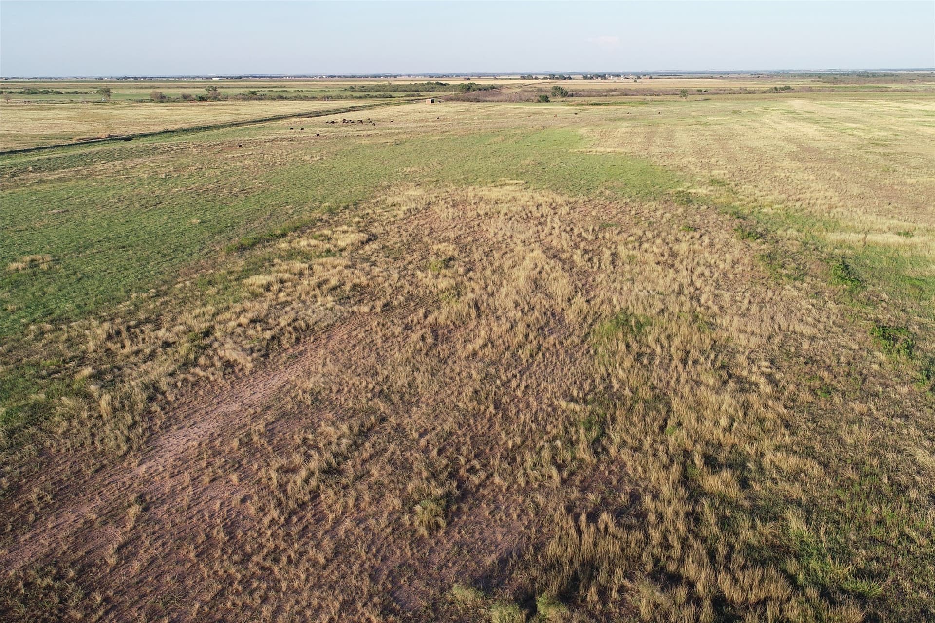 340 acres in Wilbarger County - photo 14