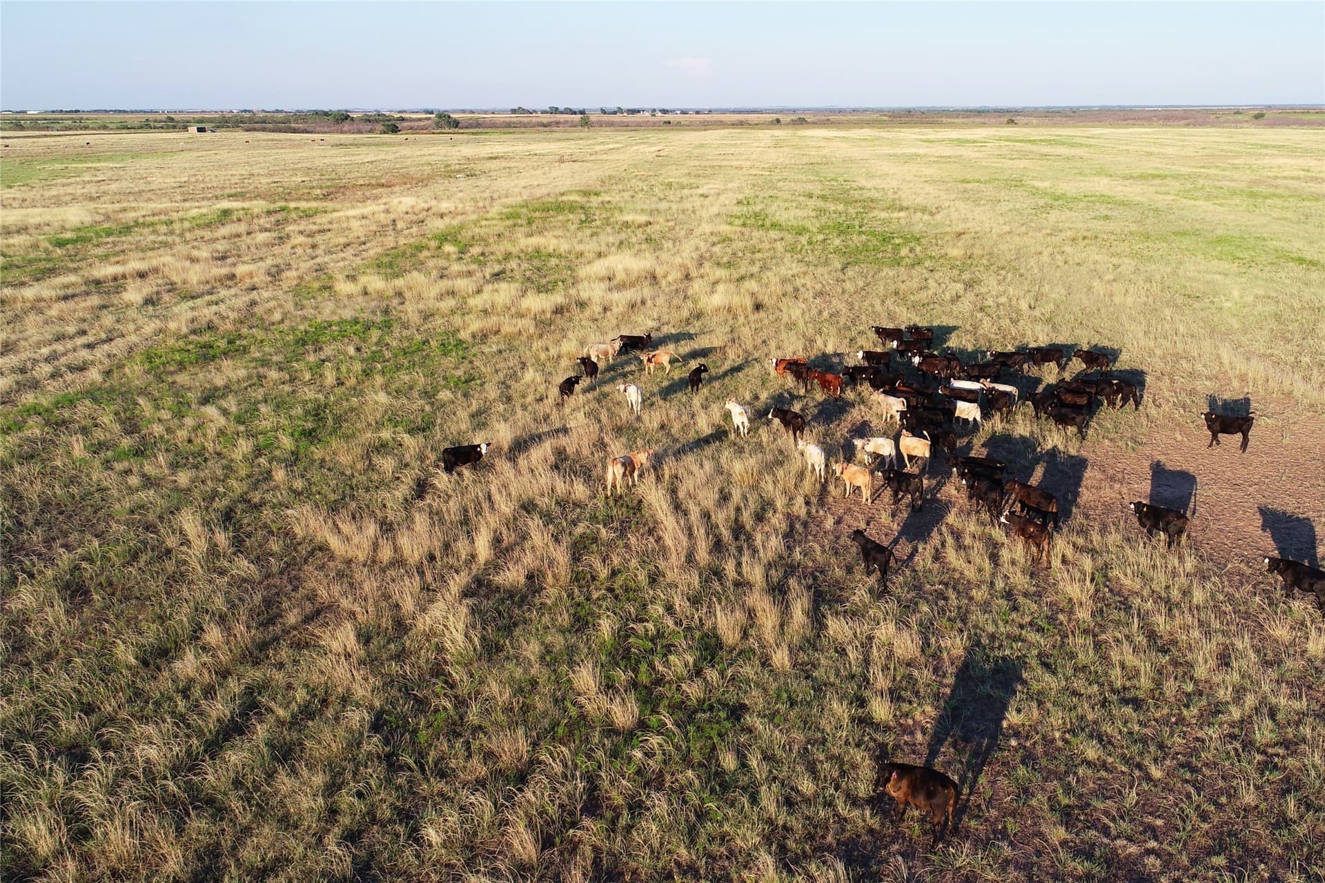 340 acres in Wilbarger County - photo 9