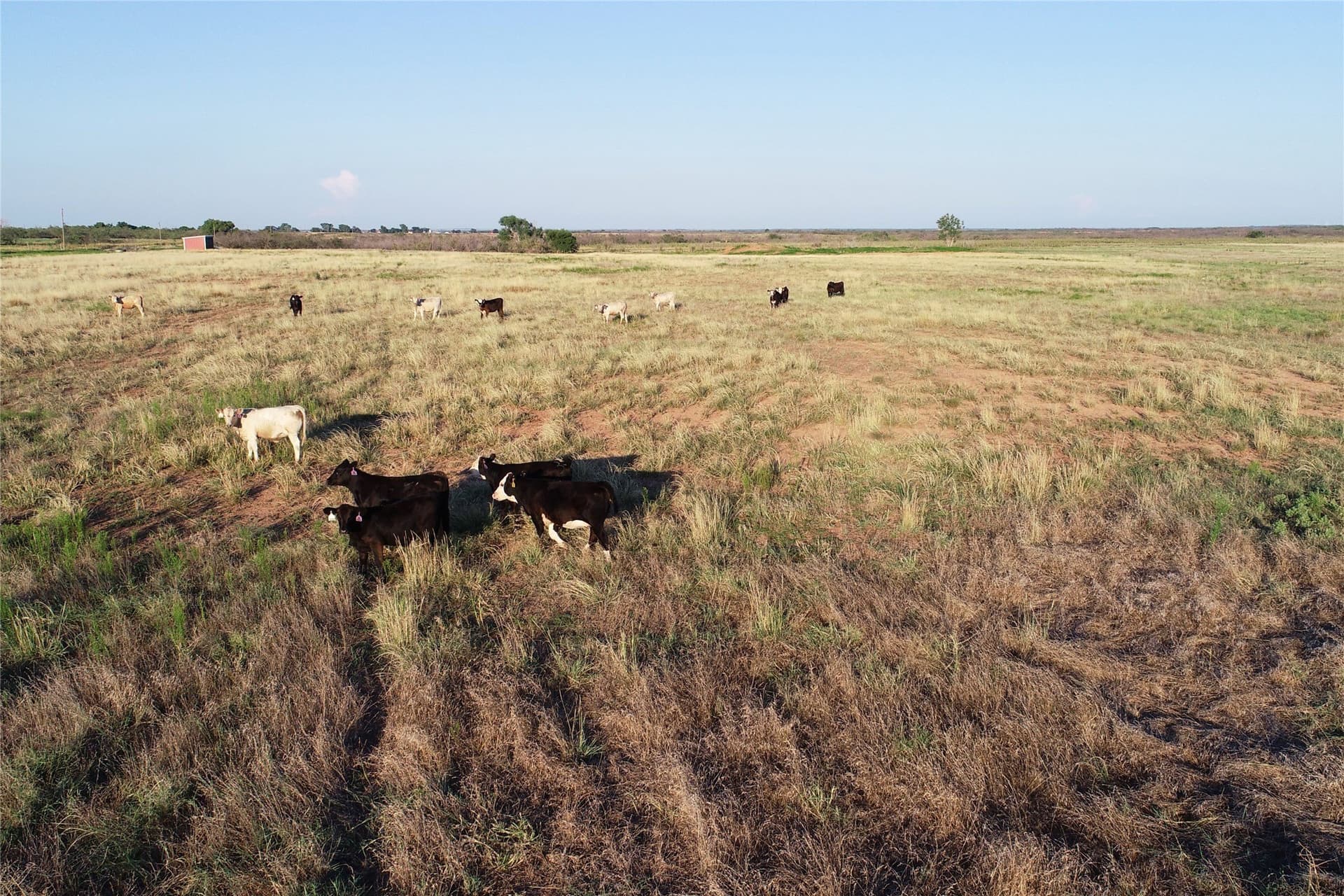 340 acres in Wilbarger County - photo 4