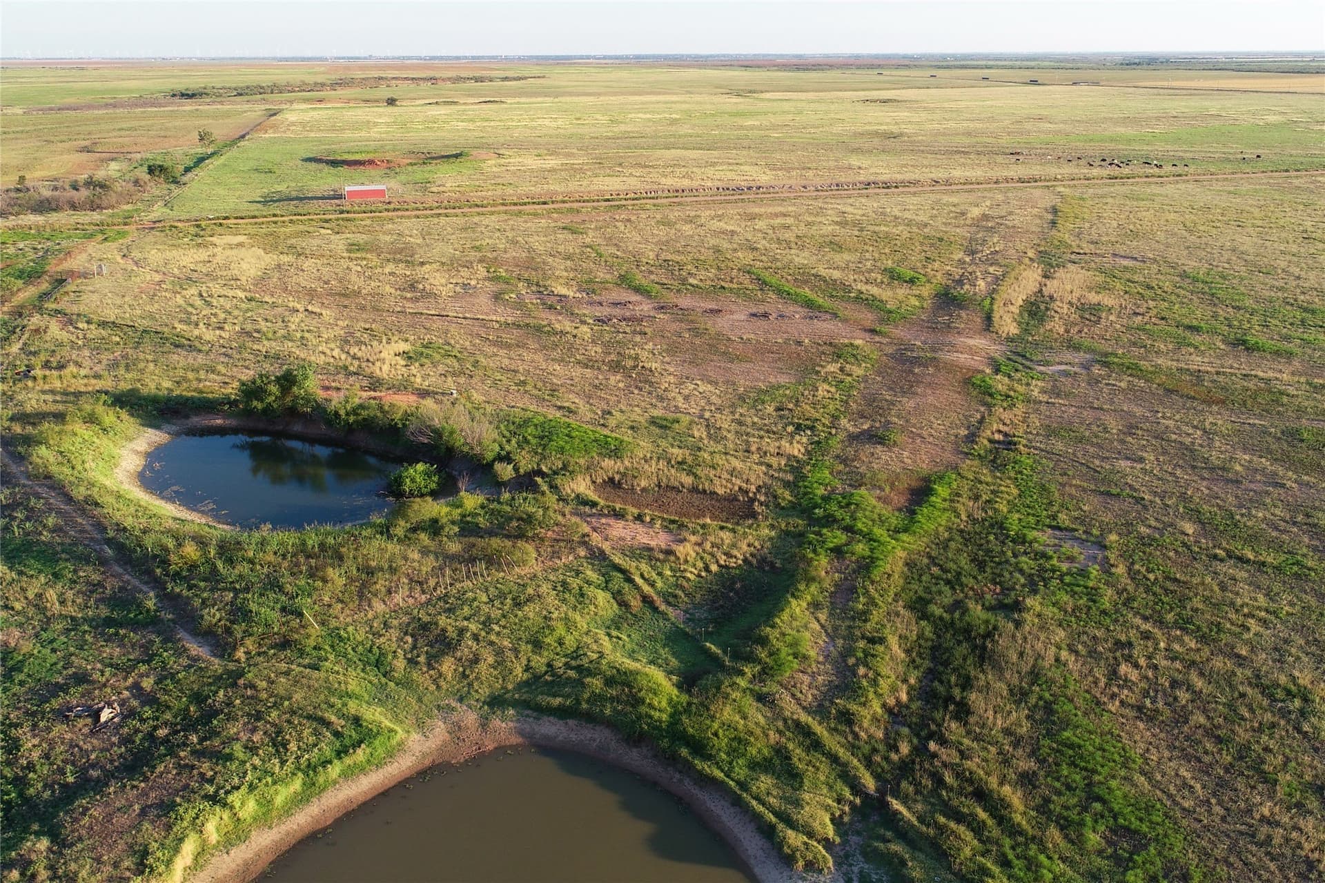 340 acres in Wilbarger County - photo 27