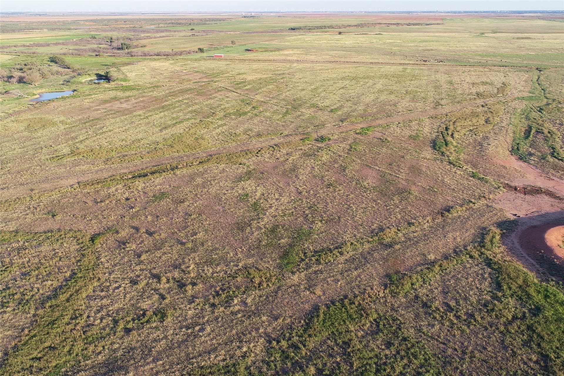 340 acres in Wilbarger County - photo 22