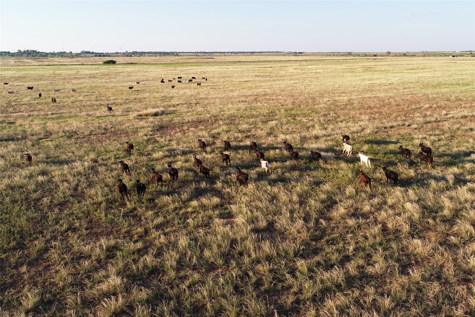340 acres in Wilbarger County - photo 10